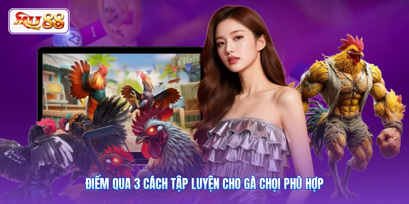 Điểm qua 3 cách tập luyện cho gà chọi phù hợp