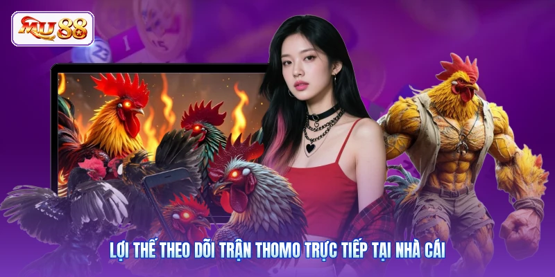 Lợi thế theo dõi trận Thomo trực tiếp tại nhà cái