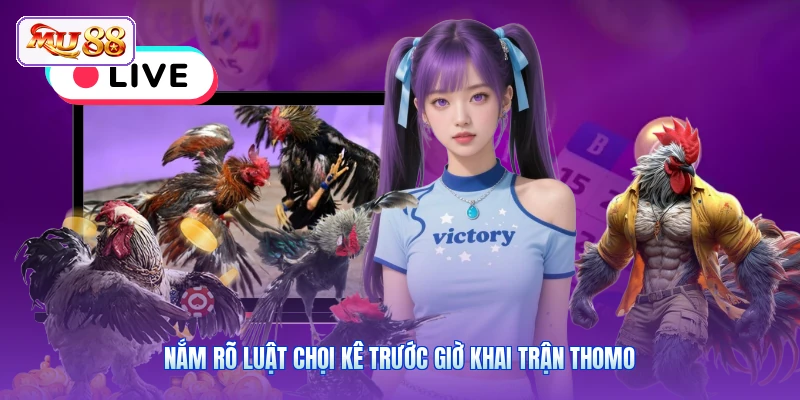 Nắm rõ luật chọi kê trước giờ khai trận Thomo