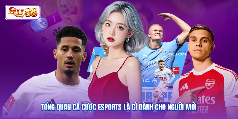 Tổng quan cá cược Esports là gì dành cho người mới