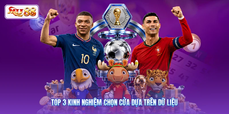 Top 3 kinh nghiệm chọn cửa dựa trên dữ liệu