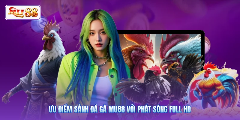 Ưu điểm sảnh đá gà MU88 với phát sóng Full HD